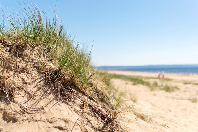 strand